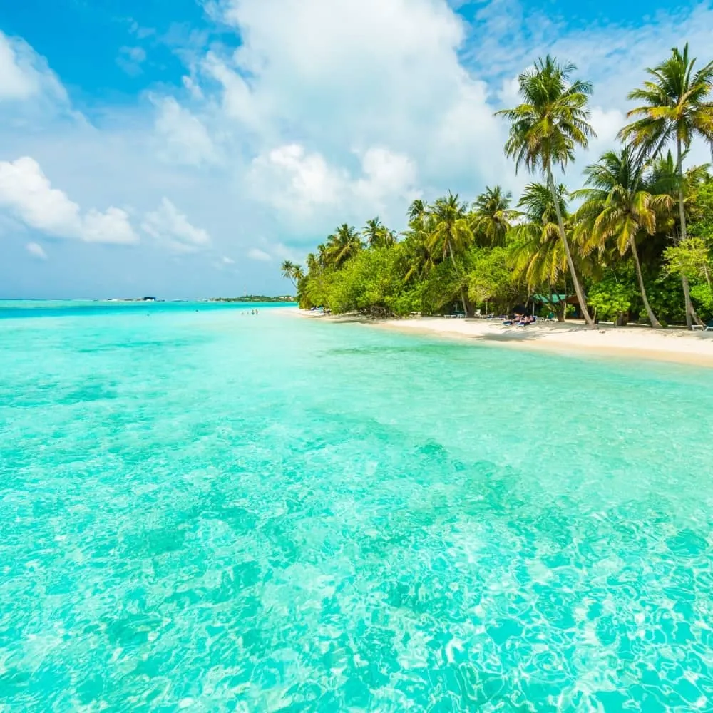 Caribbean 4