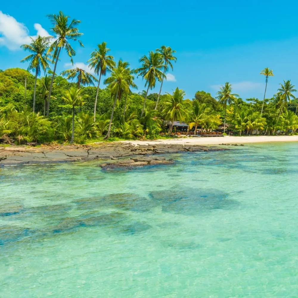 Caribbean 3