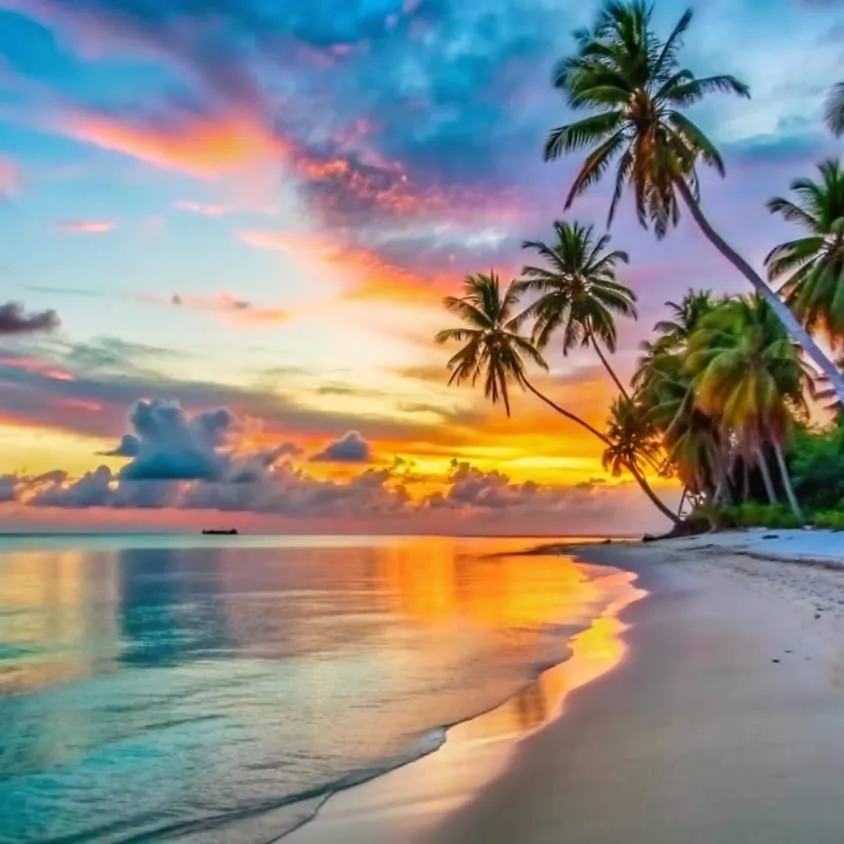 Caribbean 2