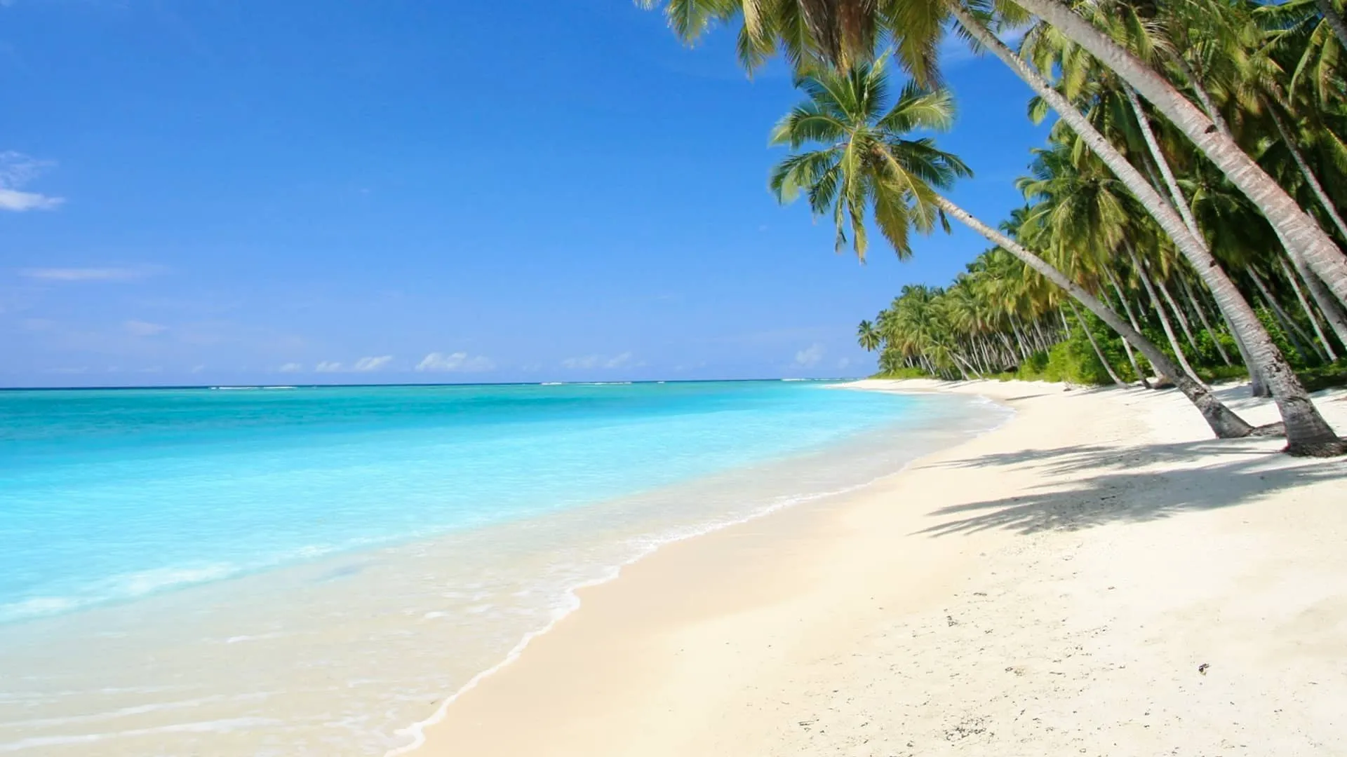 Caribbean
