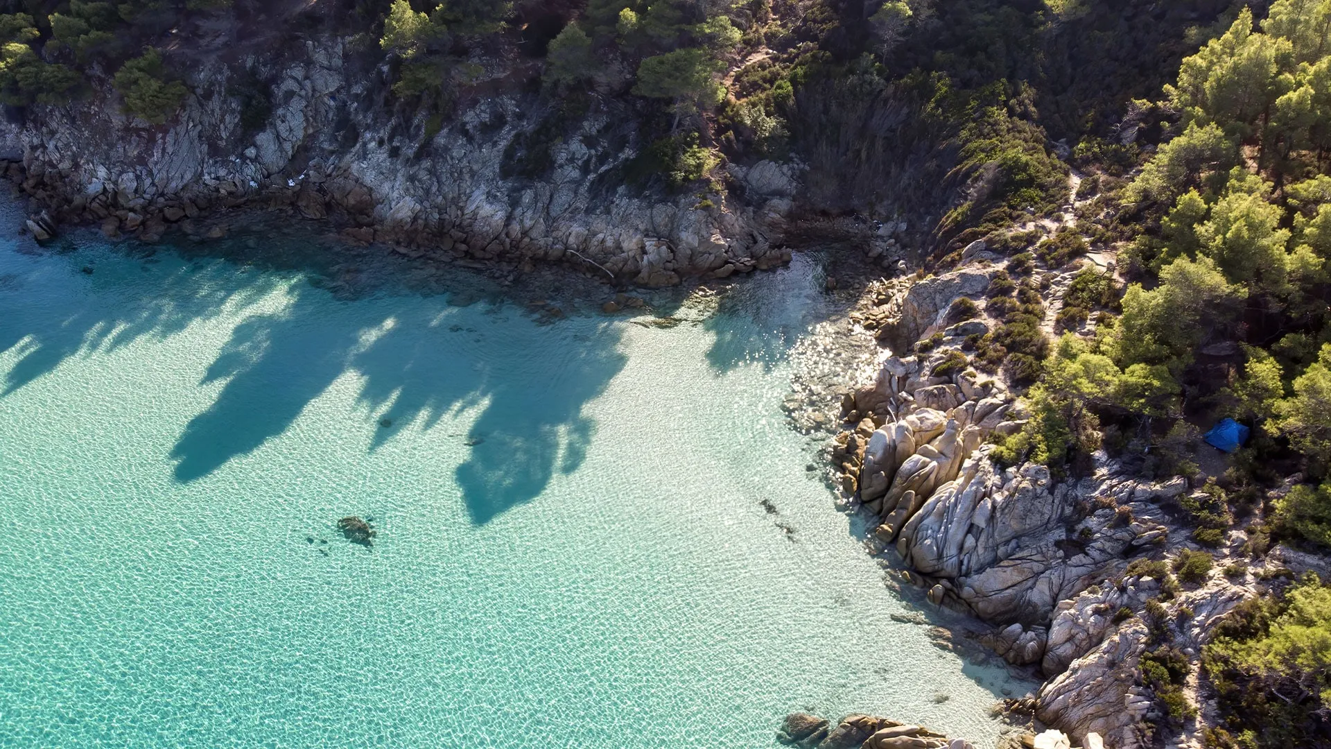 Corsica