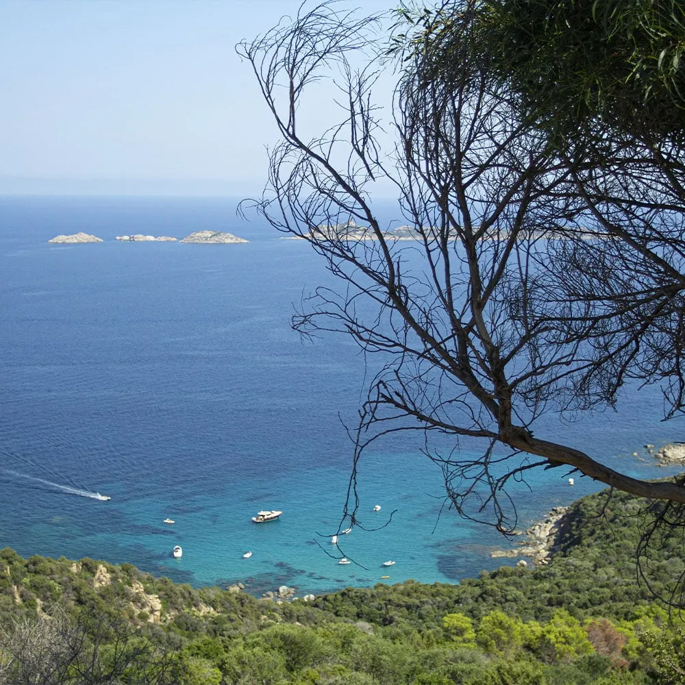 Sardinia 4